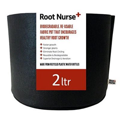Root Nurse 2ltr