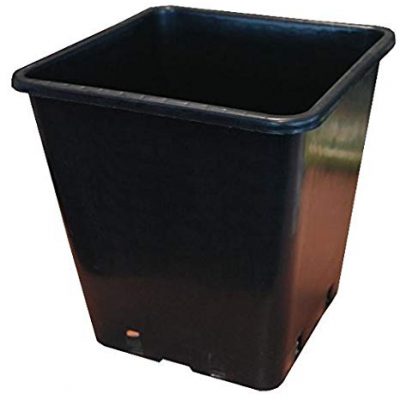 7.5litre Square Pot